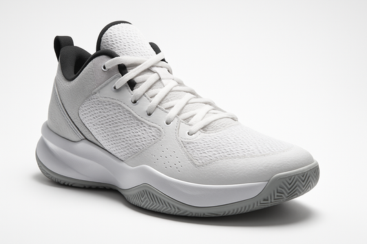 basketball shoe white background